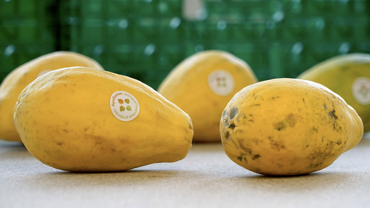 AgroSustain, tu aliado para una frescura sin residuos y una mayor vida útil.png